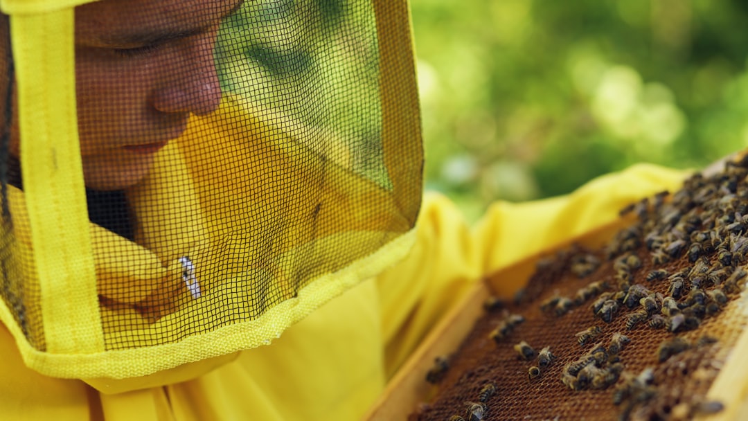 Best Beekeeping Gloves for Beginners: Top Picks for New Beekeepers