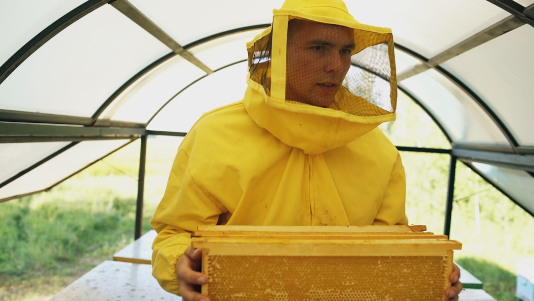 Best Beginner Beekeeping Kit: Top Starter Kits Compared (2026)
