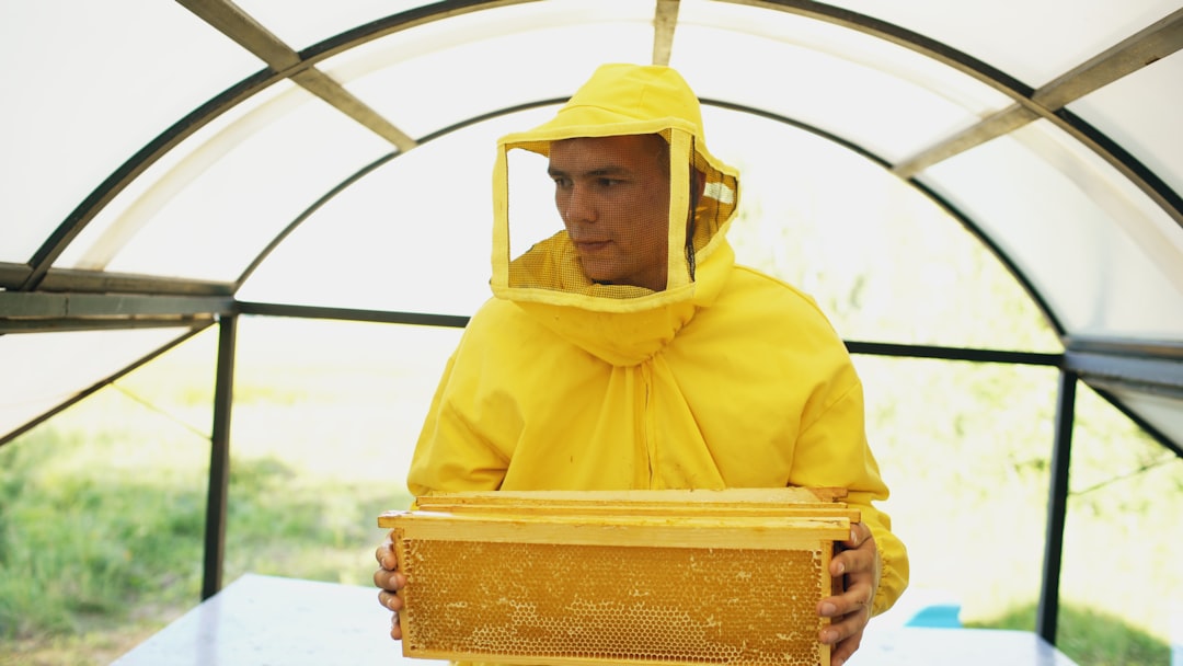 Beekeeper in protective suit holding a honeycomb frame during a hive inspection