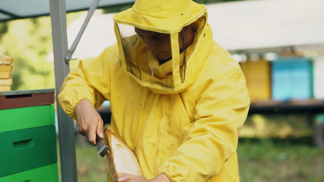 Beekeeper in protective suit inspecting honeycomb frame in apiary