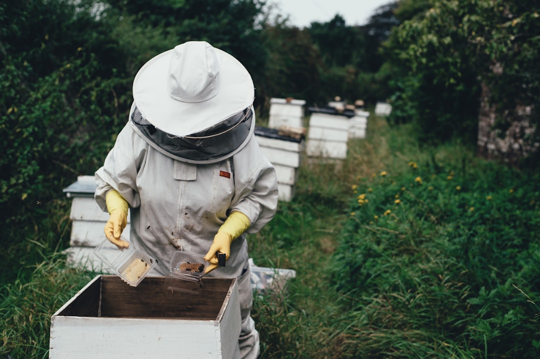 Beekeeping tools including hive tool, smoker, and frame grip on a wooden surface