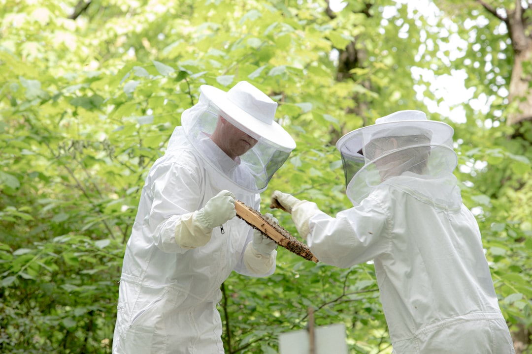 Treating nosema in honey bee colonies